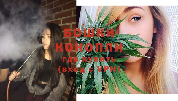 дурь Алексеевка