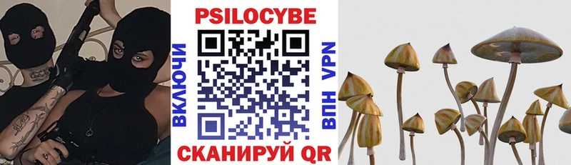 Галлюциногенные грибы Psilocybe  Новозыбков 